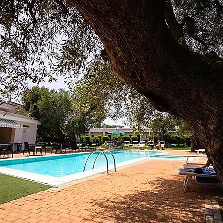 Eden Hotell 4*