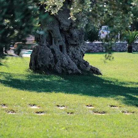 Catanzani 3* Carovigno