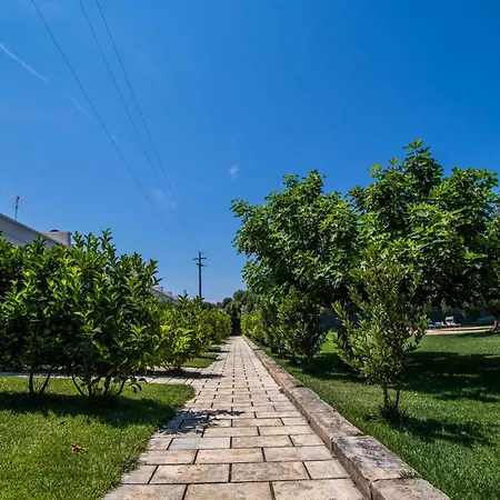 Hotel Catanzani Отель