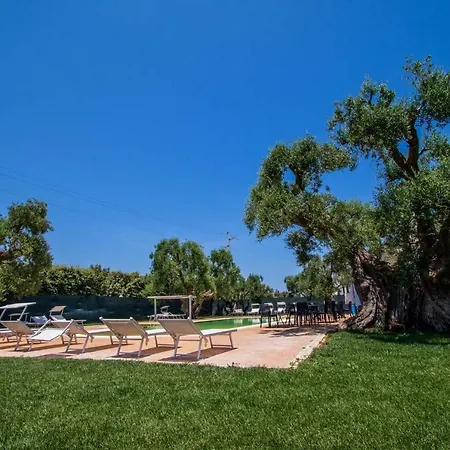 Отель Hotel Catanzani 3*